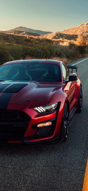 2020-ford-mustang-shelby-gt500-4k-zl-1080x23407490 Art Gallery Poster Canvas Pri