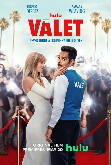 The Valet Poster Canvas Movie Film Print A0 A1 A2 A3 A4 A5 A6 Art Wall Decoratio