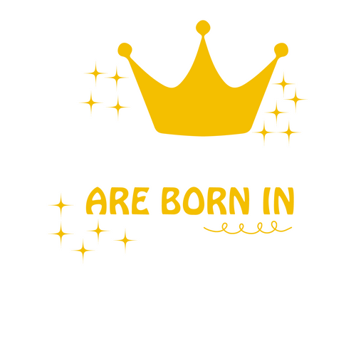 Princess are born in April-01 Funny Creative Poster Canvas Movie Film Print A0 A