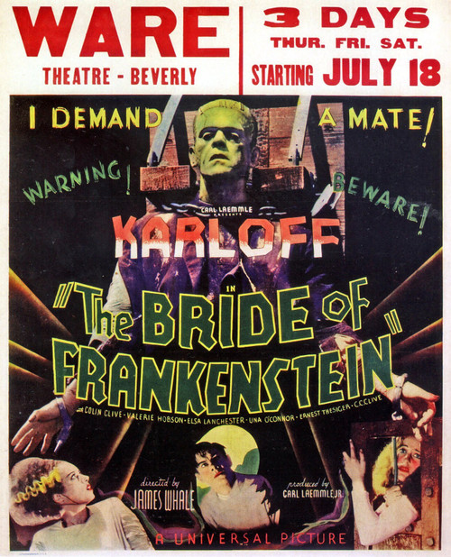 Bride Of Frankenstein 02 Poster Canvas Movie Film Print A0 A1 A2 A3 A4 A5 A6 Art