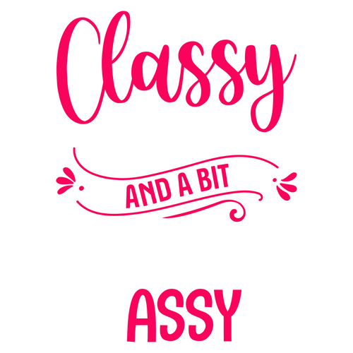 Classy Sassy and a Bit Smart Assy-01 (3) Poster Canvas Movie Film Print A0 A1 A2