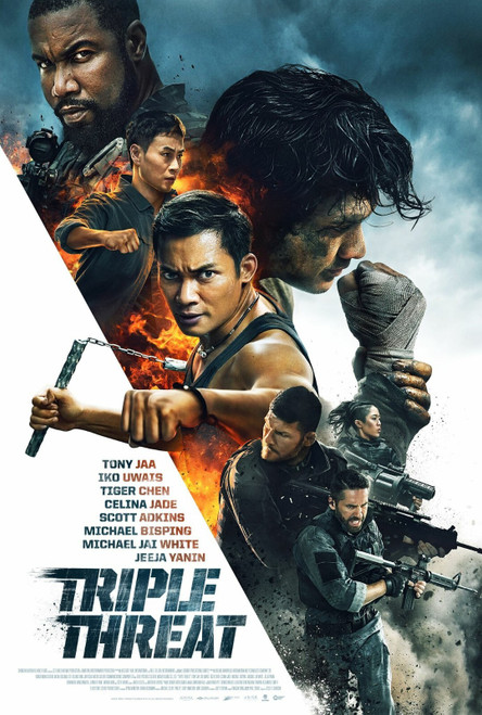Triple Threat (2019)_0 Poster Canvas Movie Film Print A0 A1 A2 A3 A4 A5 A6 Art W