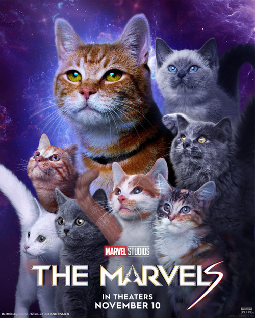 The Marvels (2023)_15 Poster Canvas Movie Film Print A0 A1 A2 A3 A4 A5 A6 Art Wa