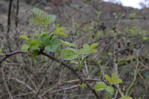 Spring 7 Poster Canvas Movie Film Print A0 A1 A2 A3 A4 A5 A6 Art Wall Decoration