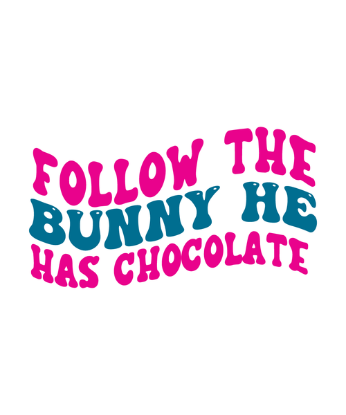 Follow The Bunny He Has Chocolate-01 Poster Canvas Movie Film Print A0 A1 A2 A3