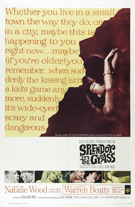 Splendor in the Grass (1961)_1 Poster Canvas Movie Film Print A0 A1 A2 A3 A4 A5