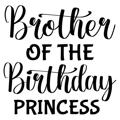 Brother of the Birthday Princess-01 (2) Poster Canvas Movie Film Print A0 A1 A2