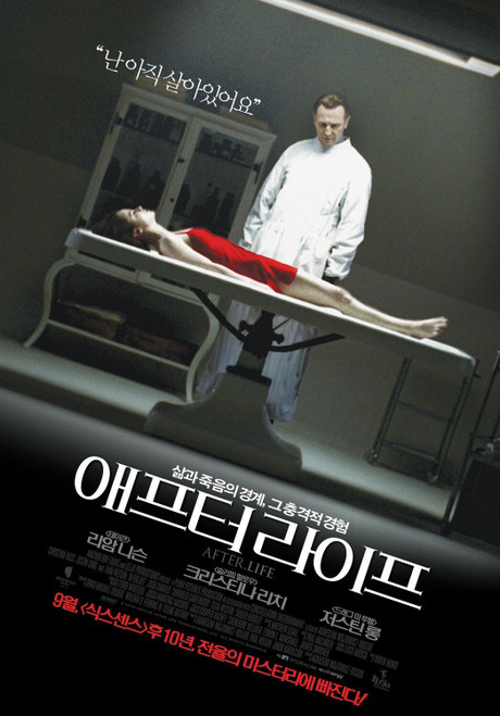 After.Life (2010)_3 Movie Film Poster Canvas iconic design After.Life (2010)_3 Movie Film Poster Canvas iconic design