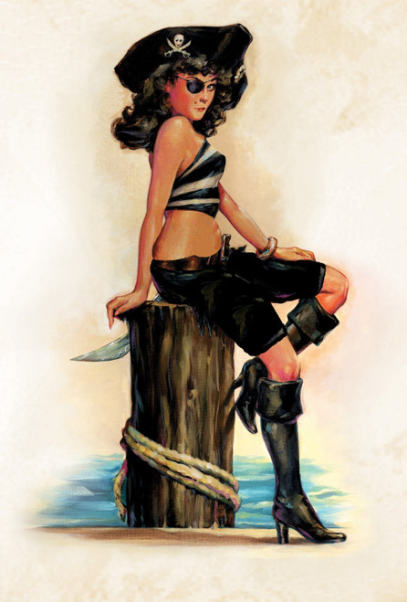 Pin-Up-Girls-ver32 Poster Canvas Movie Film Print A0 A1 A2 A3 A4 A5 A6 Art Wall