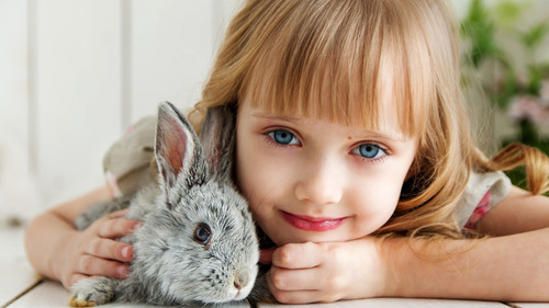 cute_girl_witjh_rabbit-5120x2880 Poster Canvas Movie Film Print A0 A1 A2 A3 A4 A