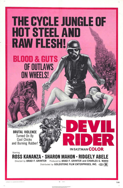 Devil Rider 01 Art Gallery Poster Canvas Print Wall Decoration A0 A1 A2 A3 A4 A5