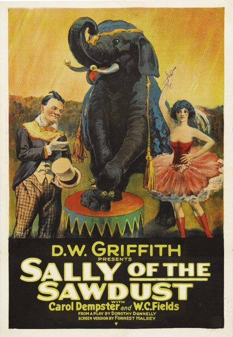 Sally of the Sawdust (1925)_0 Poster Canvas Movie Film Print A0 A1 A2 A3 A4 A5 A