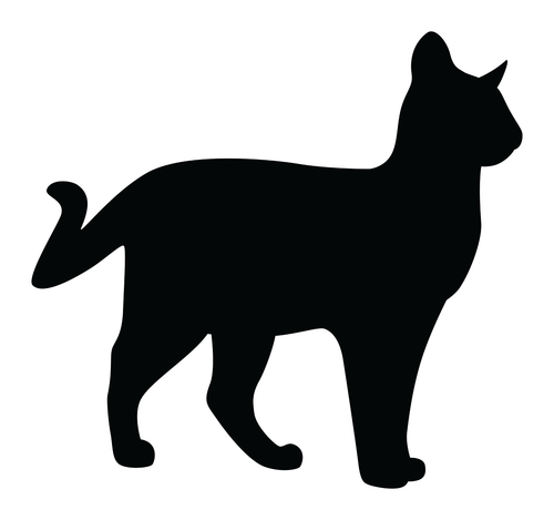 Cat Shillhutte2-01 Poster Canvas Movie Film Print A0 A1 A2 A3 A4 A5 A6 Art Wall