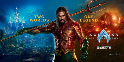 Aquaman and the Lost Kingdom (2023)_14 Movie Film Poster Canvas iconic design