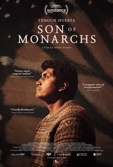 Son of Monarchs (2021)_0 Poster Canvas Movie Film Print A0 A1 A2 A3 A4 A5 A6 Art