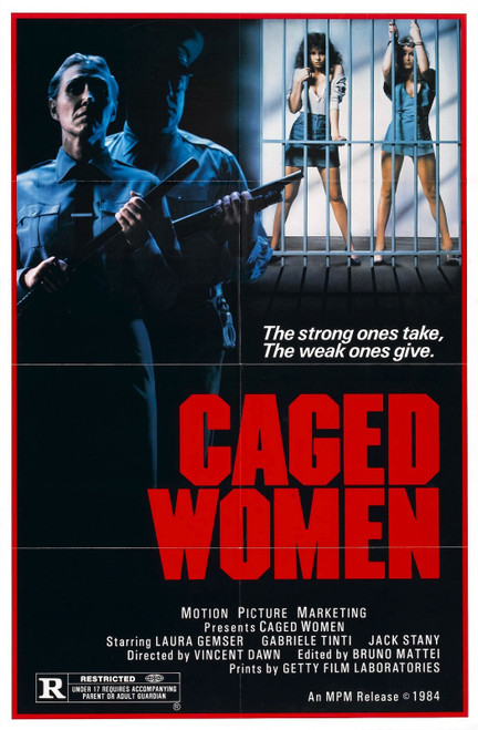 Caged Women 01 Poster Canvas Movie Film Print A0 A1 A2 A3 A4 A5 A6 Art Wall Deco