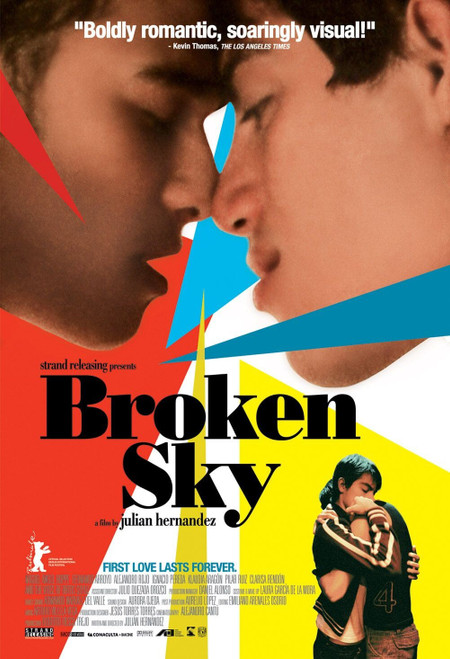 Broken Sky (2006)_1 Movie Film Poster Canvas iconic design