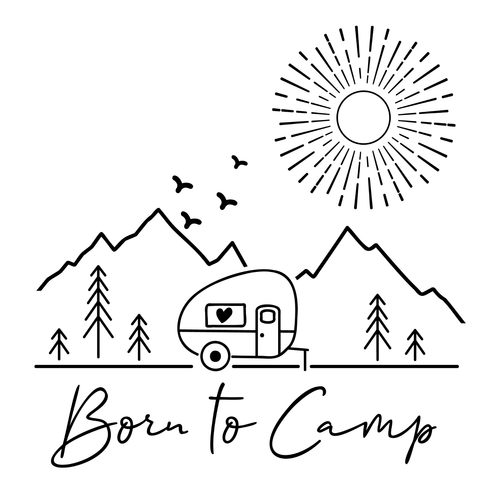 Born to Camp 1 Poster Canvas Movie Film Print A0 A1 A2 A3 A4 A5 A6 Art Wall Deco