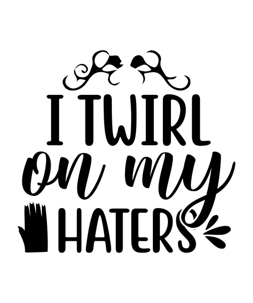 I twirl on my haters-01 (2) Poster Canvas Movie Film Print A0 A1 A2 A3 A4 A5 A6