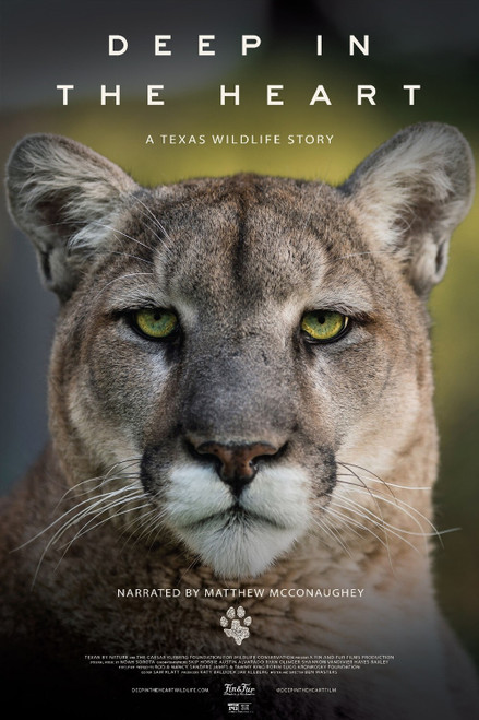 Deep in the Heart_ A Texas Wildlife Story (2022)_0 Movie Film Poster Canvas icon
