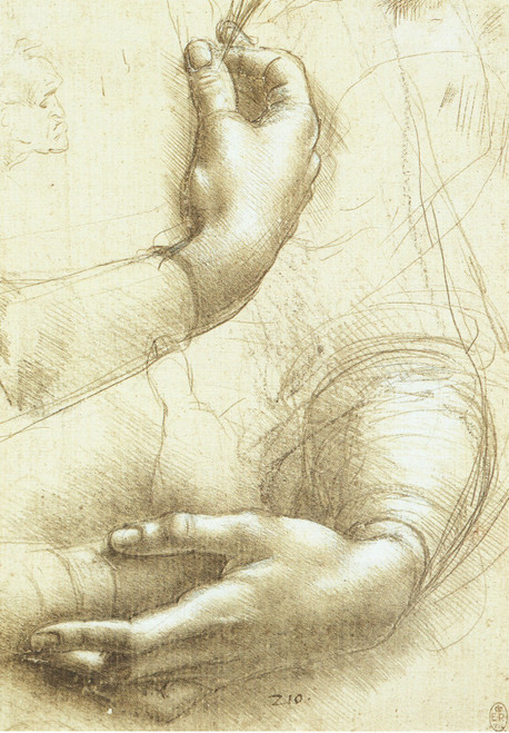 Leonardo da Vinci - Study of Arms and Hands Art Gallery Poster Canvas Print Wall