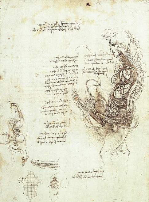 Leonardo da Vinci - Coition of Hemisected Man and Woman Art Gallery Poster Canva