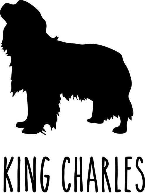 king charles (2) Poster Canvas Movie Film Print A0 A1 A2 A3 A4 A5 A6 Art Wall De