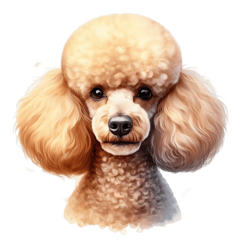 14 Poodle Poster Canvas Movie Film Print A0 A1 A2 A3 A4 A5 A6 Art Wall Decoratio