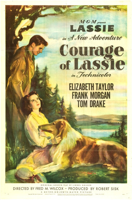 Courage of Lassie (1946)_2 Movie Film Poster Canvas iconic design