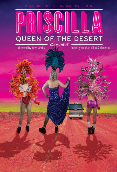 Priscilla of the Desert (2) Poster Canvas Movie Film Print A0 A1 A2 A3 A4 A5 A6