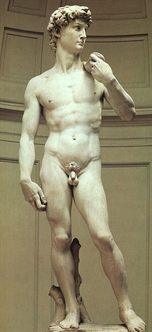 Michelangelo_David Poster Canvas Movie Film Print A0 A1 A2 A3 A4 A5 A6 Art Wall