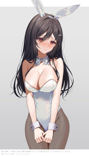 Bunny Himegi-san Anime E Girl Poster Canvas Movie Film Print A0 A1 A2 A3 A4 A5 A