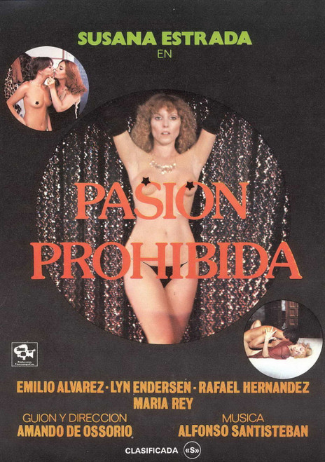 Forbidden Passion 01 Poster Canvas Movie Film Print A0 A1 A2 A3 A4 A5 A6 Art Wal