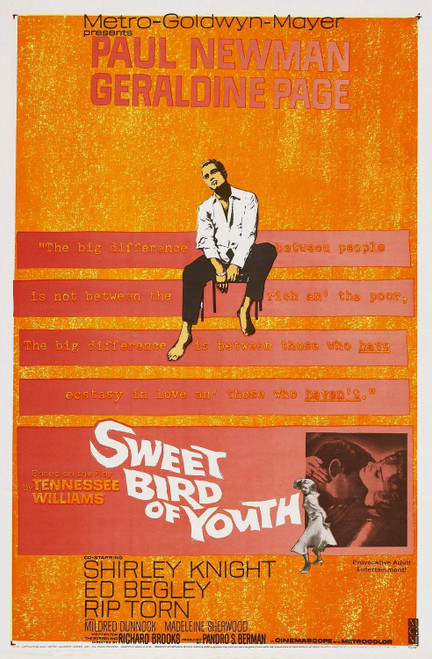 Sweet Bird of Youth (1962)_0 Poster Canvas Movie Film Print A0 A1 A2 A3 A4 A5 A6