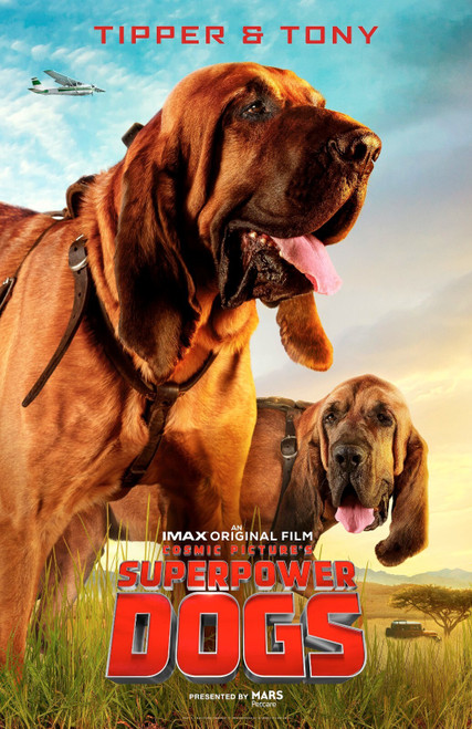 Superpower Dogs (2019)_7 Poster Canvas Movie Film Print A0 A1 A2 A3 A4 A5 A6 Art