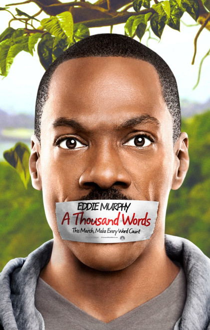 A Thousand Words (2012)_1 Movie Film Poster Canvas iconic design