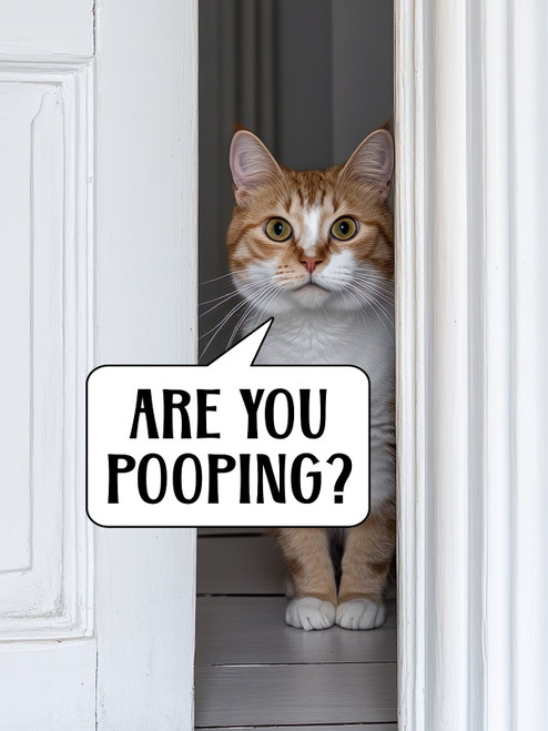 Cat Are You Pooping-3by4 Poster Canvas Funny Annimals Pritnt A0 A1 A2 A3 A4 A5 A