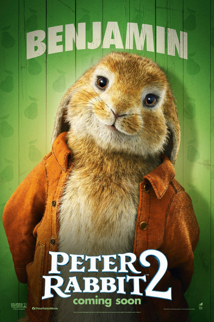 Peter Rabbit 2_ The Runaway (2021)_16 Poster Canvas Movie Film Print A0 A1 A2 A3