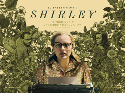 Shirley (2020)_2 Poster Canvas Movie Film Print A0 A1 A2 A3 A4 A5 A6 Art Wall De