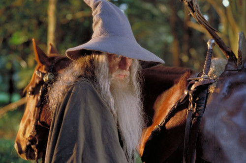 036-the-lord-of-the-rings-the-fellowship of-the-ring-theredlist Poster Canvas Mo