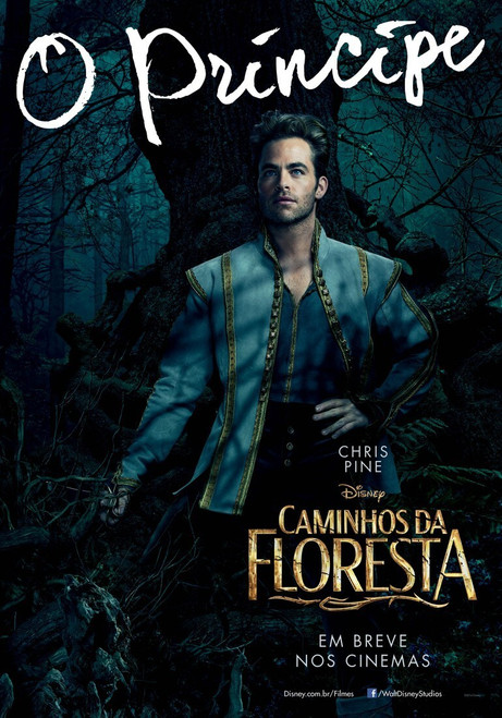 Into the Woods (2014)_7 Poster Canvas Movie Film Print A0 A1 A2 A3 A4 A5 A6 Art