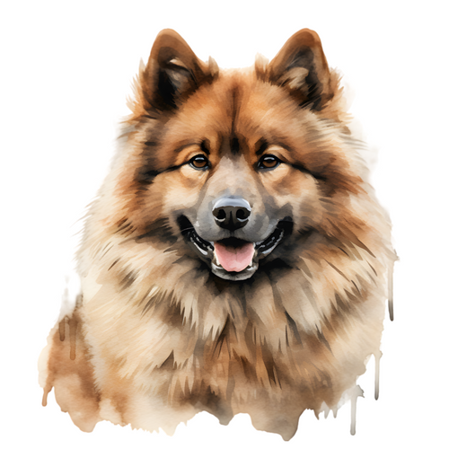 Eurasier (1) Poster Canvas Print Art Painting Decor Reprint wall A0 A1 A2 A3 A4