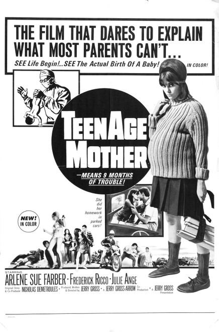 Teenage Mother 01 Poster Canvas Movie Film Print A0 A1 A2 A3 A4 A5 A6 Art Wall D