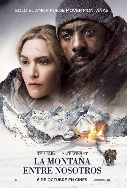The Mountain Between Us (2017)_2 Poster Canvas Movie Film Print A0 A1 A2 A3 A4 A