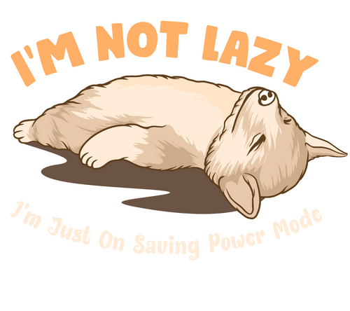 Im Not Lazy Poster Canvas Movie Film Print A0 A1 A2 A3 A4 A5 A6 Art Wall Decorat