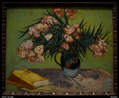 vincent-van-gogh---oleanders--jpb_21686914990_o(1) Poster Canvas Movie Film Prin