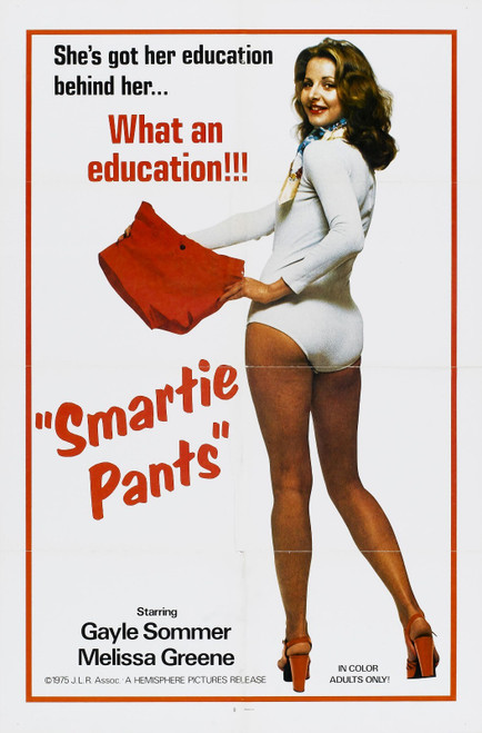 Schoolgirl Report 10 01 Poster Canvas Movie Film Print A0 A1 A2 A3 A4 A5 A6 Art