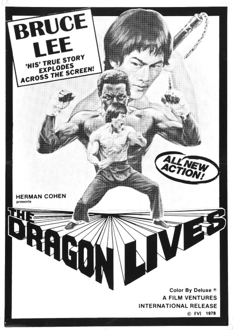 Bruce Lee Man Myth 02 Poster Canvas Movie Film Print A0 A1 A2 A3 A4 A5 A6 Art Wa