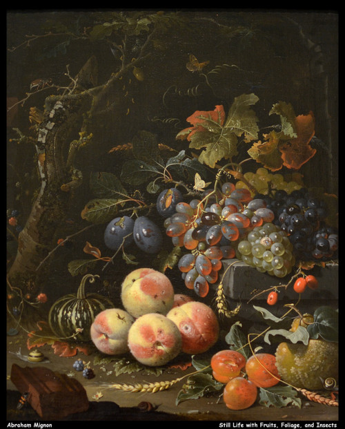 abraham-mignon---still-life-with-fruits-foliage-and-insects--jpb_26198828835_o(1