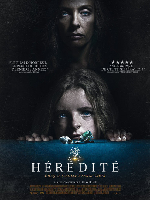 Hereditary (2018)_3 Movie Film Poster Canvas iconic design